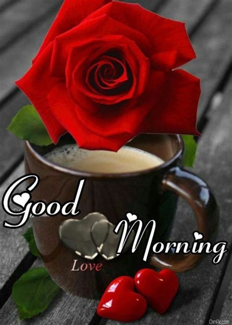 images of good morning with roses|romantic morning rose pic.